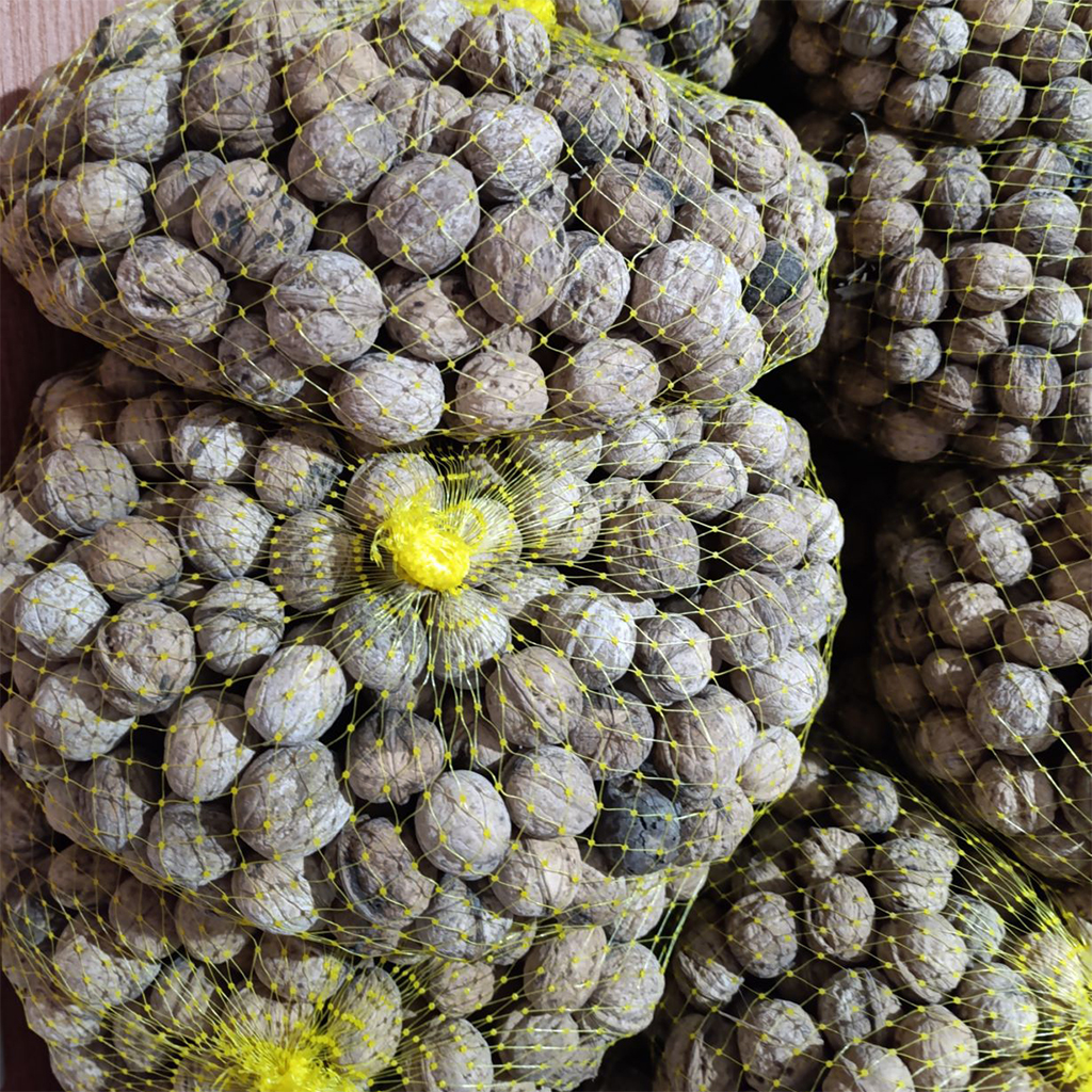 300کیلو گردوی اعلای تویسرکان 